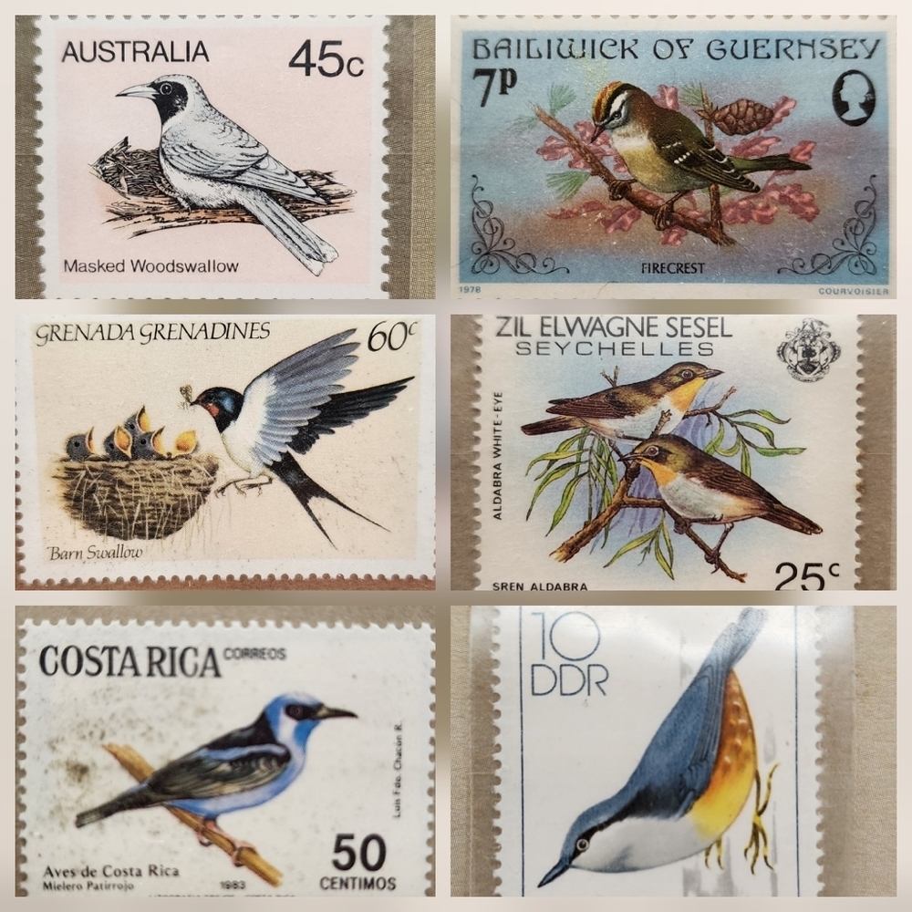 34 RSPB Songbirds of the World Stamps Vintage Royal Society British - Picture 1 of 13